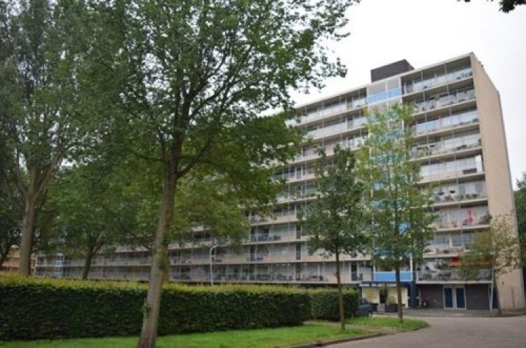 Engelandlaan, Haarlem
