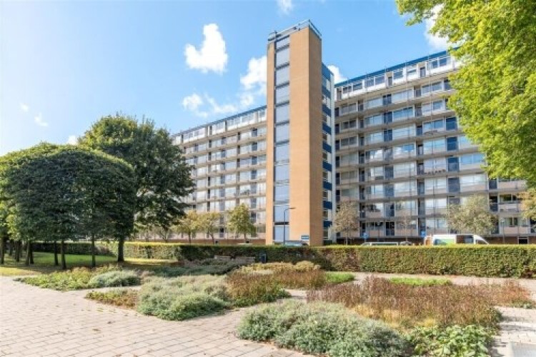 Engelandlaan, Haarlem