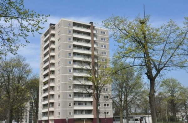 Ierlandstraat