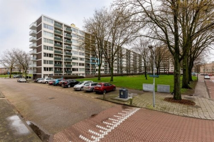 Ierlandstraat, Haarlem