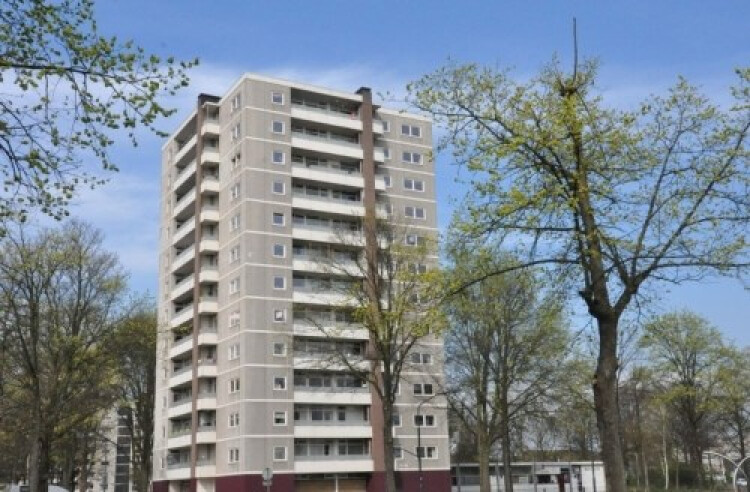 Ierlandstraat, Haarlem