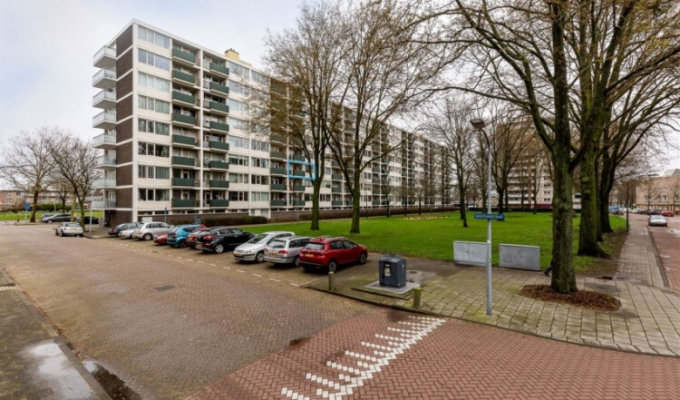 Ierlandstraat, Haarlem