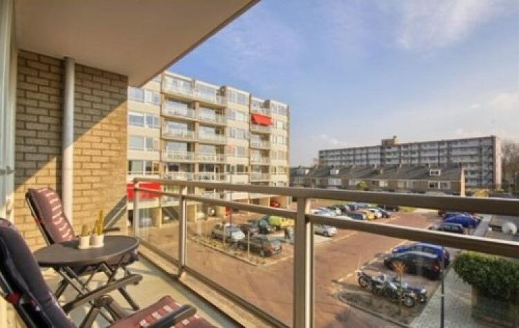 Madridplantsoen, Haarlem