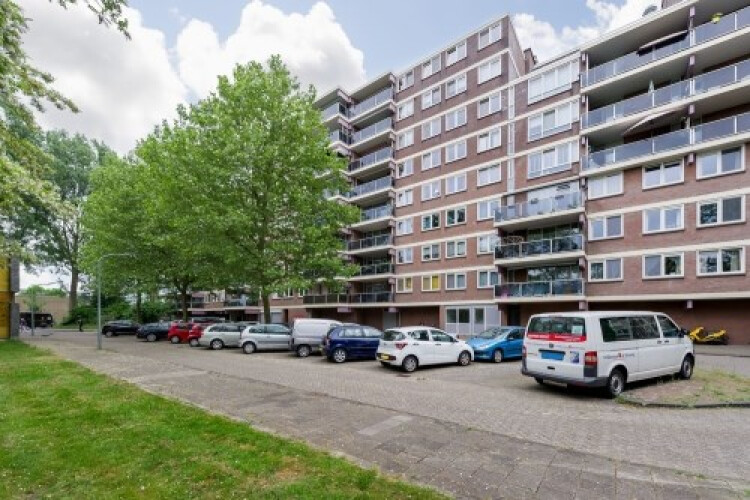 Prattenburg, Haarlem