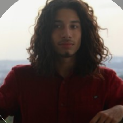 Bogdan zoekt een Kamer / Studio / Huurwoning / Appartement in Haarlem